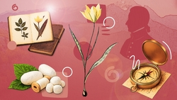 Немецкий ботаник и флора на Кавказе: тест ко дню рождения Фёдора Биберштейна