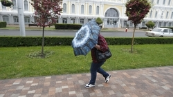 Синоптики предупредили ставропольцев о сильном ветре на Радоницу