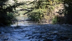 Ставропольские спасатели предупредили о подъёме уровня воды в реке Калаус