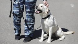 Санаторий «Джинал» проверяют в Кисловодске после сообщения о минировании