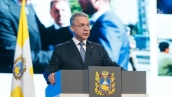 Губернатор Владимиров отправится на ПМЭФ-2025 во главе ставропольской делегации