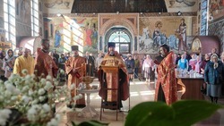Освящение семян и поливка лозы вином: как ставропольцы отметили День святого мученика Трифона