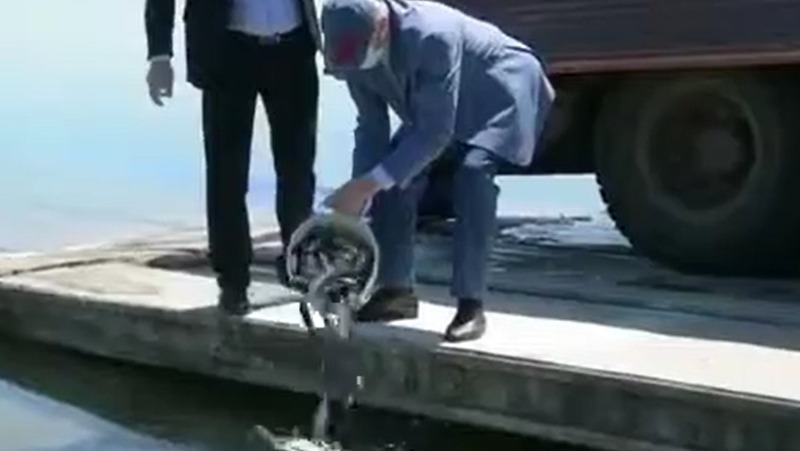 Рыб-чистильщиков выпустят в курортное озеро «30'Ка» в Железноводске 