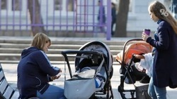 Новые меры поддержки многодетных семей разрабатывают на Ставрополье