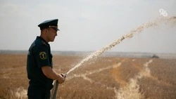Сухостой горел 3 июля возле хутора Садового под Ставрополем