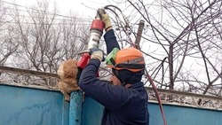 Ставропольские спасатели вызволили кота, застрявшего в трубе 