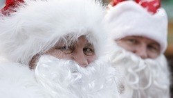 Почти 40% ставропольчан проведут новогодние праздники дома — опрос