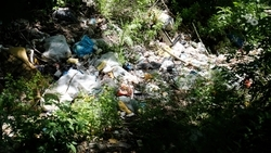 Свалки на сельхозземлях грозят Ставрополью распространением птичьего гриппа среди чаек