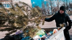 Жителей Ессентуков просят привозить отслужившие своё ёлки на городское озеро