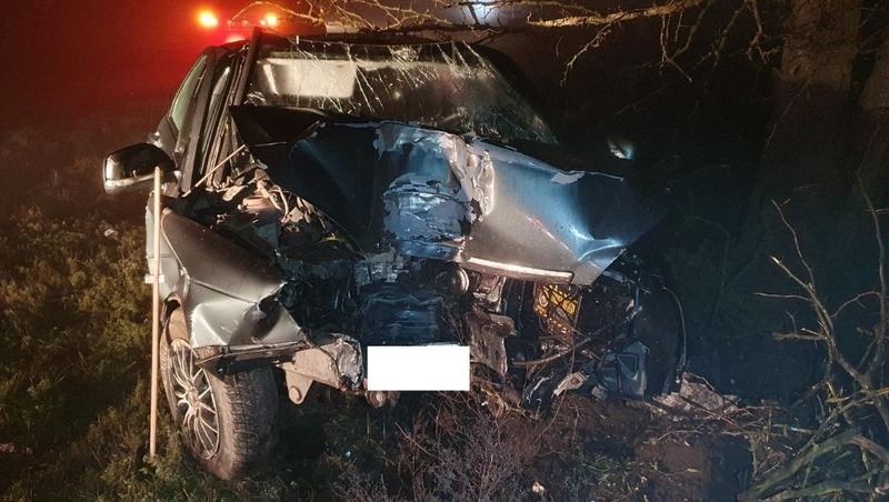 Водитель легковушки на Ставрополье врезался в дерево из-за тумана