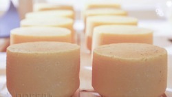 На Ставрополье ежедневно производят 11,5 тонны сыра 