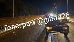 Попытка перебежать дорогу в неположенном месте закончилась реанимацией для ставропольца