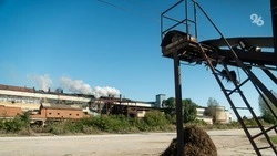 На полях КИФ на Ставрополье подпишут 10-12 соглашений