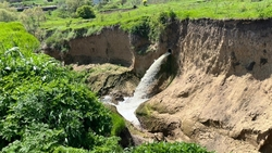 В минприроды Ставрополья выясняют причины гибели рыбы в прудах у хутора Кизилова