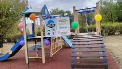 В селе Андроповского округа капитально отремонтировали детскую площадку в парке 