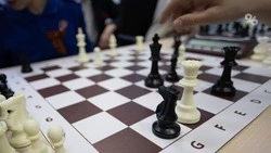 Четыре чемпионата по шахматам пройдут в Ставрополе в этом году