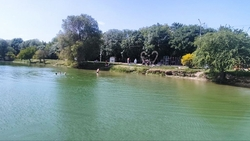 Ессентукское озеро расчищают перед купальным сезоном 