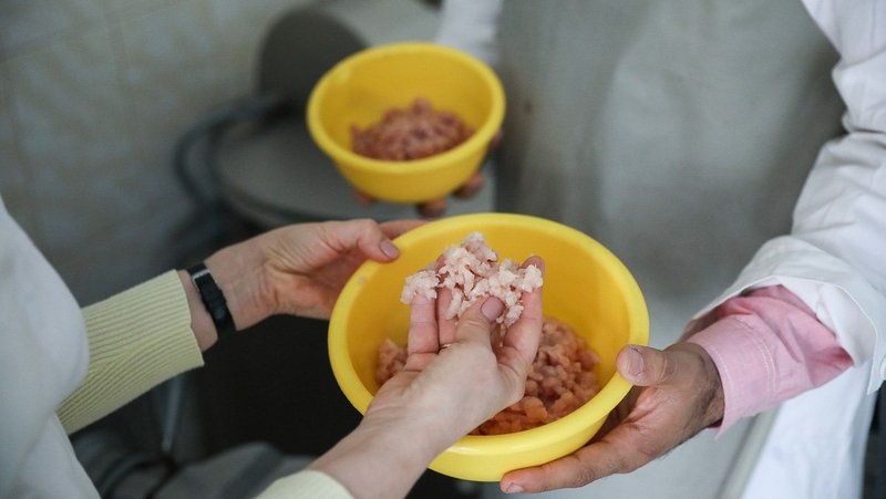 Полезную для пищеварения колбасу создали учëные СКФУ 