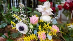 В Ставрополе в канун 8 Марта откроются 12 цветочных базаров