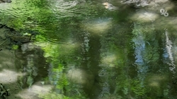 В Минприроды Ставрополья объяснили причину пересыхания реки Невольки