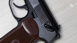 Десять случаев незаконного оборота оружия выявили на Ставрополье 