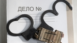 Бастрыкин поручил проверить сообщение о нападении на подростка в Ставрополе