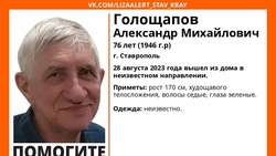 Исчезнувшего зеленоглазого пенсионера ищут в Ставрополе