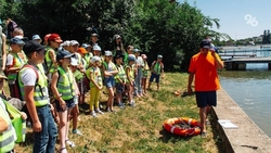 Около 200 путёвок в санатории и летние лагеря получат дети из Новоалександровского округа