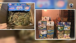 В Астрахани выпустили 1700 кг живых раков, которых хотели продать на Ставрополье