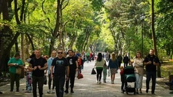 Посетители Курортного парка Ессентуков могут гулять с непрерывным интернетом