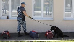 Поступило сообщение о минировании пединститута в Будённовске