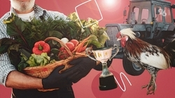 Флаг из лука и овощной автомобиль: каким был День урожая на Ставрополье