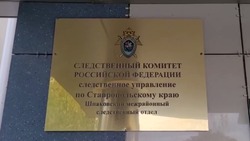 Расследование по делу сторонника «Правого сектора»* завершили на Ставрополье