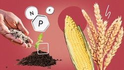 Умные удобрения не боятся капризов погоды: студенты СтГАУ узнали о новинках агрохимии