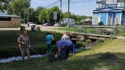 Берега двух рек, канала и водохранилища очистили на Ставрополье 