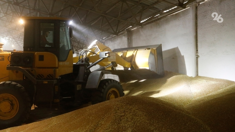 Экспорт пшеницы и меслина в Грузию увеличился на Ставрополье