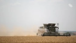 Аграриям Ставрополья сложно сменить профиль растениеводства — эксперт Журавлёв