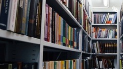 ВТБ выяснил, когда книги пользуются наибольшим спросом