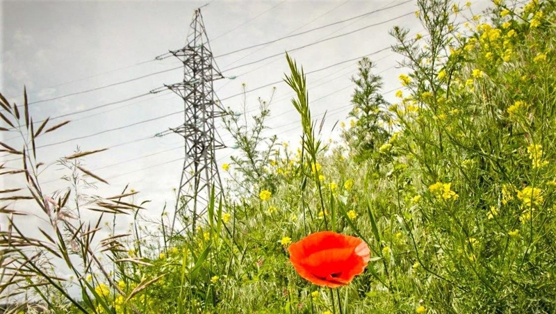 В Минераловодском округе завершается реконструкция 3,6 км линии электропередачи