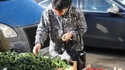 Цены на огурцы, помидоры и яйца вновь упали на Ставрополье