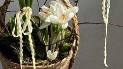 Ставропольский флорист рассказала, как выбрать свежие цветы к 8 Марта