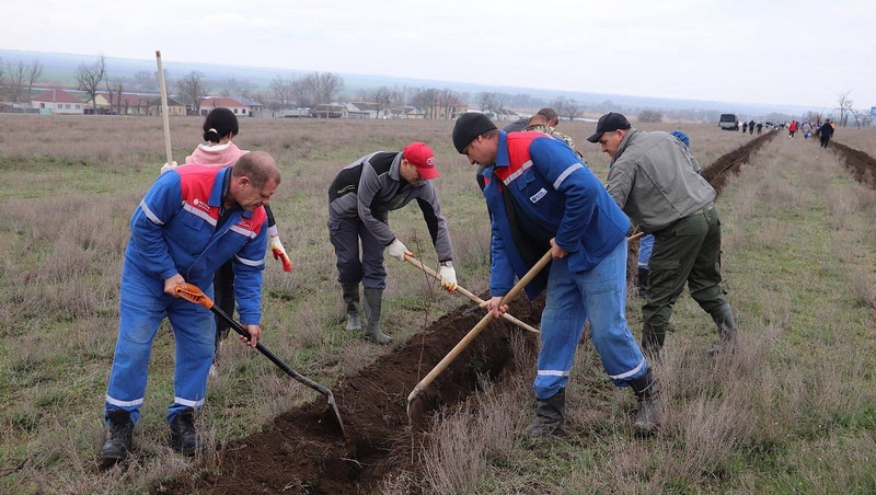 В Новоселицком округе прошла акция «Сад памяти»