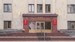 Курортный сбор, налоговые вычеты, изменения в устав края: какие важные законы приняли депутаты Ставрополья