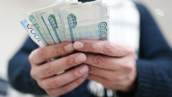 Житель Грузии пытался провезти в Россию 4 млн рублей в дорожной сумке