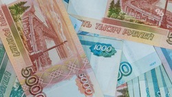 Ставропольчанку подозревают в серии мошенничеств на 135 тыс. рублей