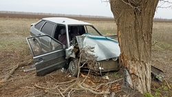 Две женщины пострадали при столкновении легковушки с деревом в Арзгирском округе