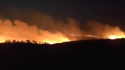 200 га горевшего сухостоя потушили пожарные в СНТ под Невинномысском