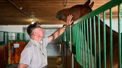 В Будённовском округе оборудуют закрытый манеж для занятий конным спортом
