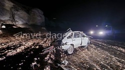 Автомобиль врезался в лошадь и сорвался в обрыв в Дагестане — один человек погиб