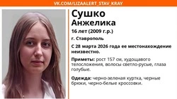 16-летнюю голубоглазую девушку с 28 марта разыскивают на Ставрополье